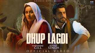 Chehre Da Noor Sara Dhal Gaya Lyrics